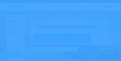 河南樂豐財稅服務(wù)有限公司